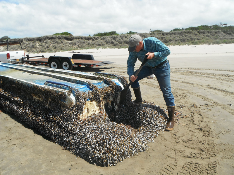 Japanese vessel washed ashore in Longbeach, Washington. Image: Russ Lewis